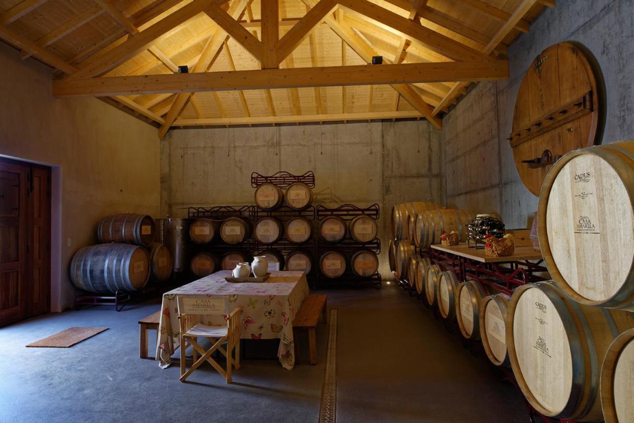 Quinta Da Casa Amarela- Casas Da Quinta - Turismo Em Espaco Rural Lamego Exterior foto